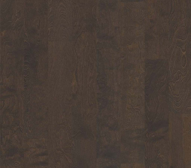 Brooksville SB Bayfront