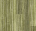 Color Washed Lotus