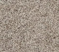 Floorigami Carpet Diem 102 Cozy Taupe